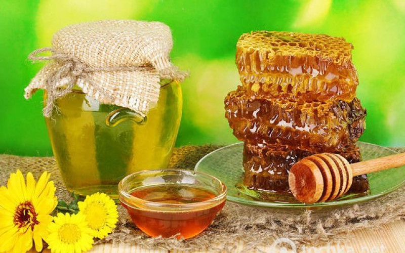 Национальный конкурс мёда в Беларуси: ноябрь 2024