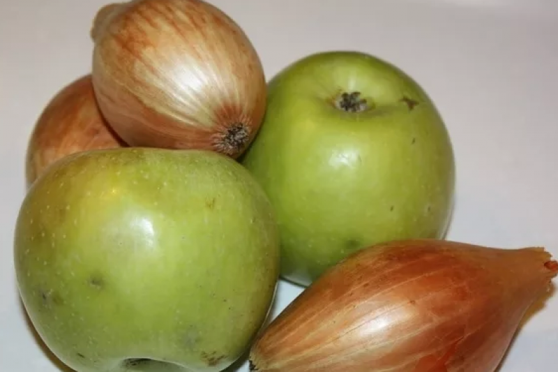 Вводится временное лицензирование вывоза за пределы Республики Беларусь репчатого лука и яблок