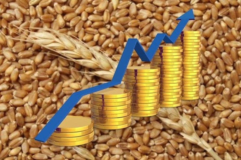 Определены цены на сельскохозяйственную продукцию (растениеводства) урожая 2024 года, закупаемую для республиканских государственных нужд